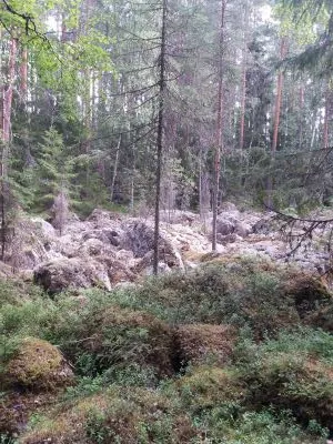 Lehtivuoren pirunpelto